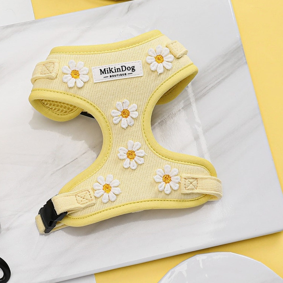 SET SUNNY DAISY