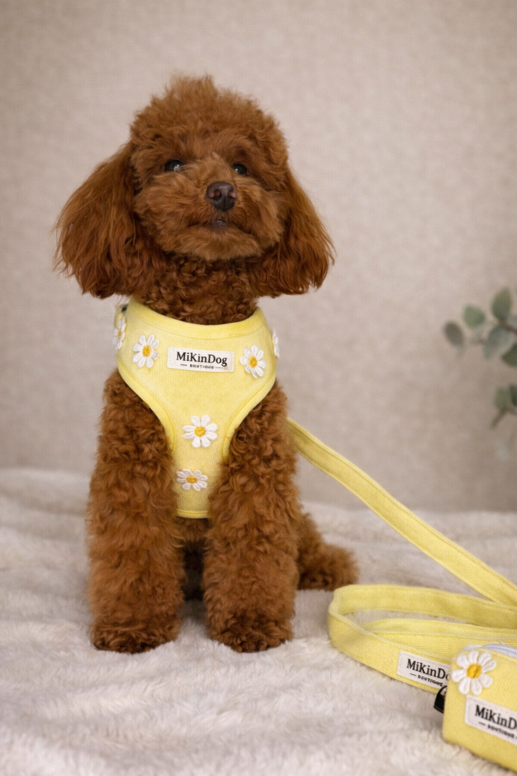 SET SUNNY DAISY