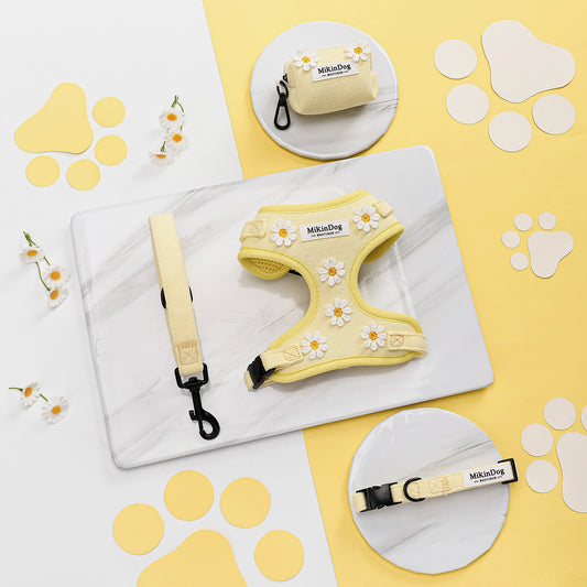 SET SUNNY DAISY